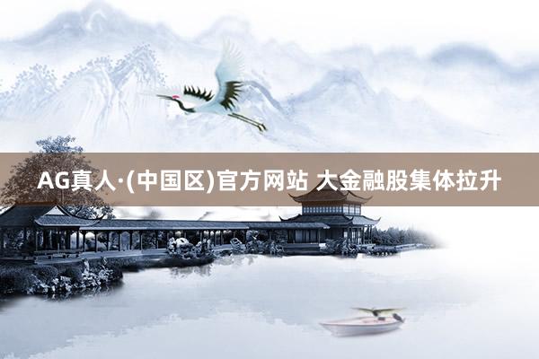 AG真人·(中国区)官方网站 大金融股集体拉升