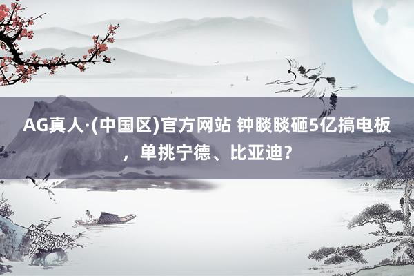 AG真人·(中国区)官方网站 钟睒睒砸5亿搞电板,单挑宁德、比亚迪?