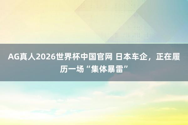 AG真人2026世界杯中国官网 日本车企,正在履历一场“集体暴雷”