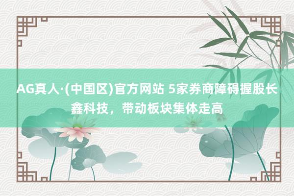 AG真人·(中国区)官方网站 5家券商障碍握股长鑫科技,带动板块集体走高