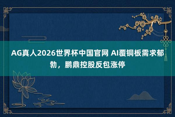 AG真人2026世界杯中国官网 AI覆铜板需求郁勃,鹏鼎控股反包涨停