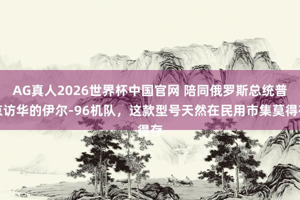 AG真人2026世界杯中国官网 陪同俄罗斯总统普京访华的伊尔-96机队,这款型号天然在民用市集莫得存