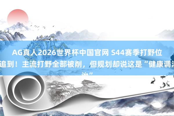 AG真人2026世界杯中国官网 S44赛季打野位的追到！主流打野全部被削，但规划却说这是“健康调治”