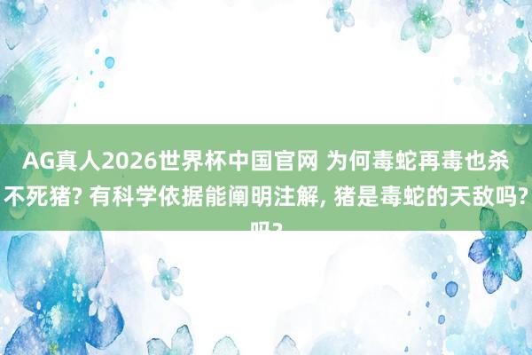 AG真人2026世界杯中国官网 为何毒蛇再毒也杀不死猪? 有科学依据能阐明注解, 猪是毒蛇的天敌吗?