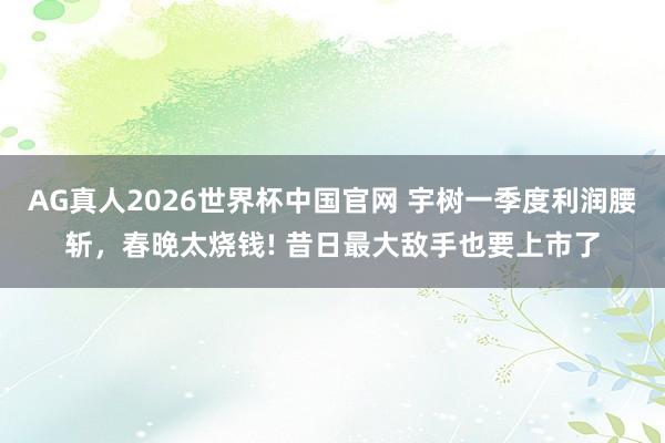 AG真人2026世界杯中国官网 宇树一季度利润腰斩,春晚太烧钱! 昔日最大敌手也要上市了