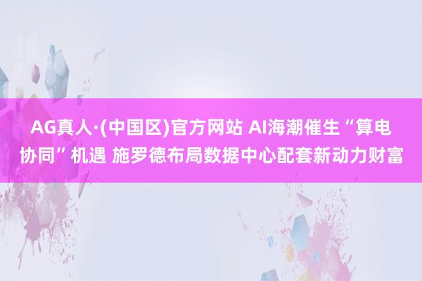 AG真人·(中国区)官方网站 AI海潮催生“算电协同”机遇 施罗德布局数据中心配套新动力财富