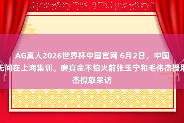AG真人2026世界杯中国官网 6月2日,中国男足无间在上海集训。磨真金不怕火前张玉宁和毛伟杰摄取采访
