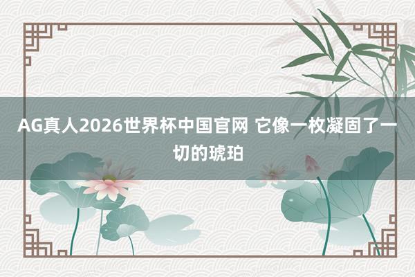 AG真人2026世界杯中国官网 它像一枚凝固了一切的琥珀