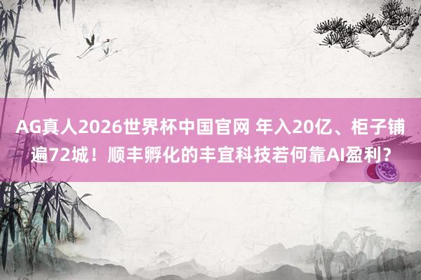 AG真人2026世界杯中国官网 年入20亿、柜子铺遍72城!顺丰孵化的丰宜科技若何靠AI盈利?