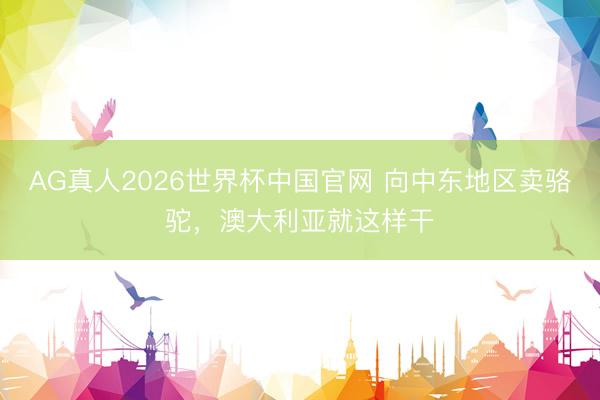 AG真人2026世界杯中国官网 向中东地区卖骆驼,澳大利亚就这样干